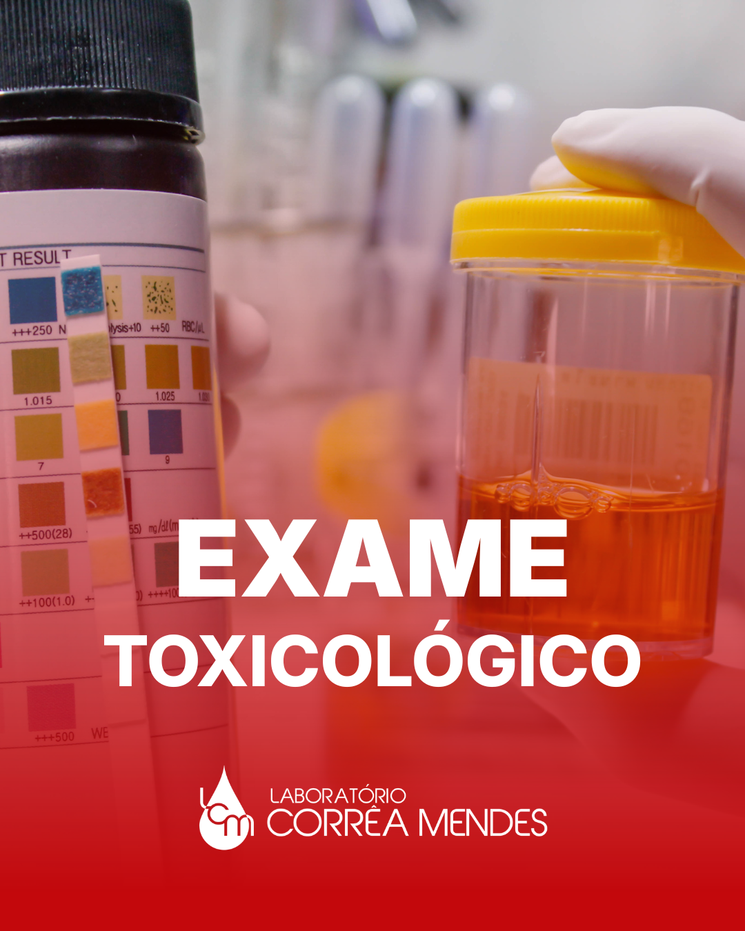 EXAME TOXICOLOGICO
